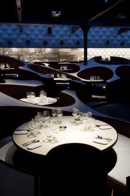 serie-blue-frog-1598