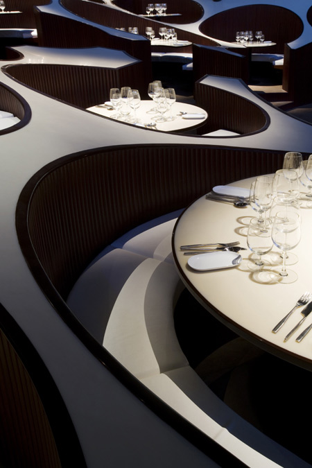 serie-blue-frog-1599