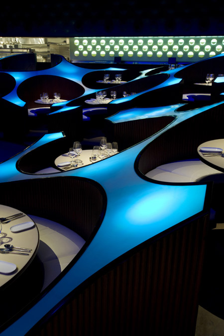 serie-blue-frog-1609