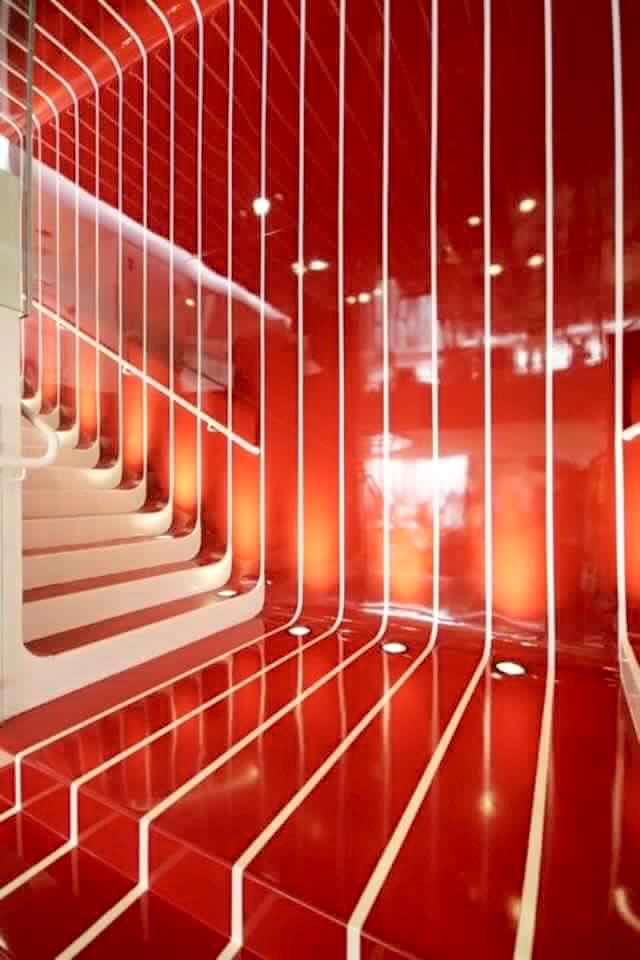 12743536_950521994997736_4548386828478921976_n