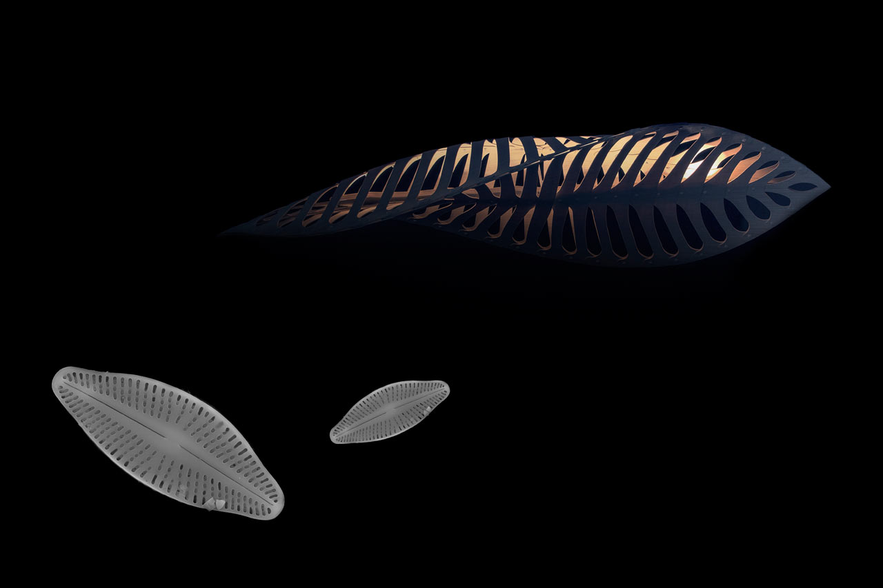 David-Trubridge-Under-Lighting-4-Insipiration-Mock-Up