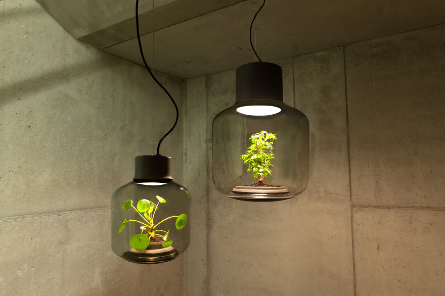 we-designed-these-lamps-to-grow-plants-in-windowless-spaces-5__880