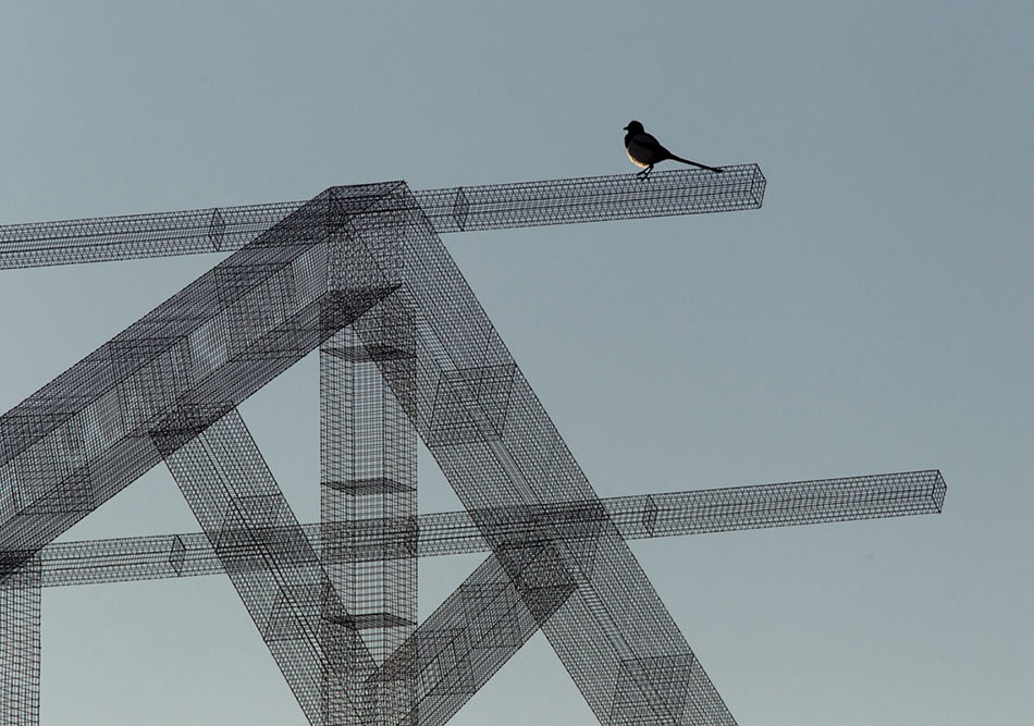 88644c0fbf8ba56624facfbf5000a89c