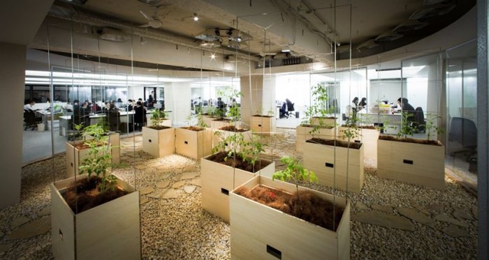 059bc426c82e45fe82e5814c327bfe9a.jpg.700x0_q85_autocrop_crop-smart_upscale (1)