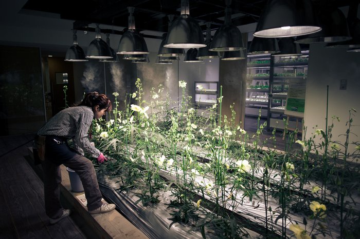 7e34cdee632746cd835dc7cc0af21b3a.jpg.700x0_q85_autocrop_crop-smart_upscale