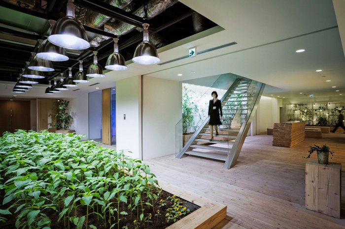 e906467c91844e829351f333322f86ad.jpg.700x0_q85_autocrop_crop-smart_upscale