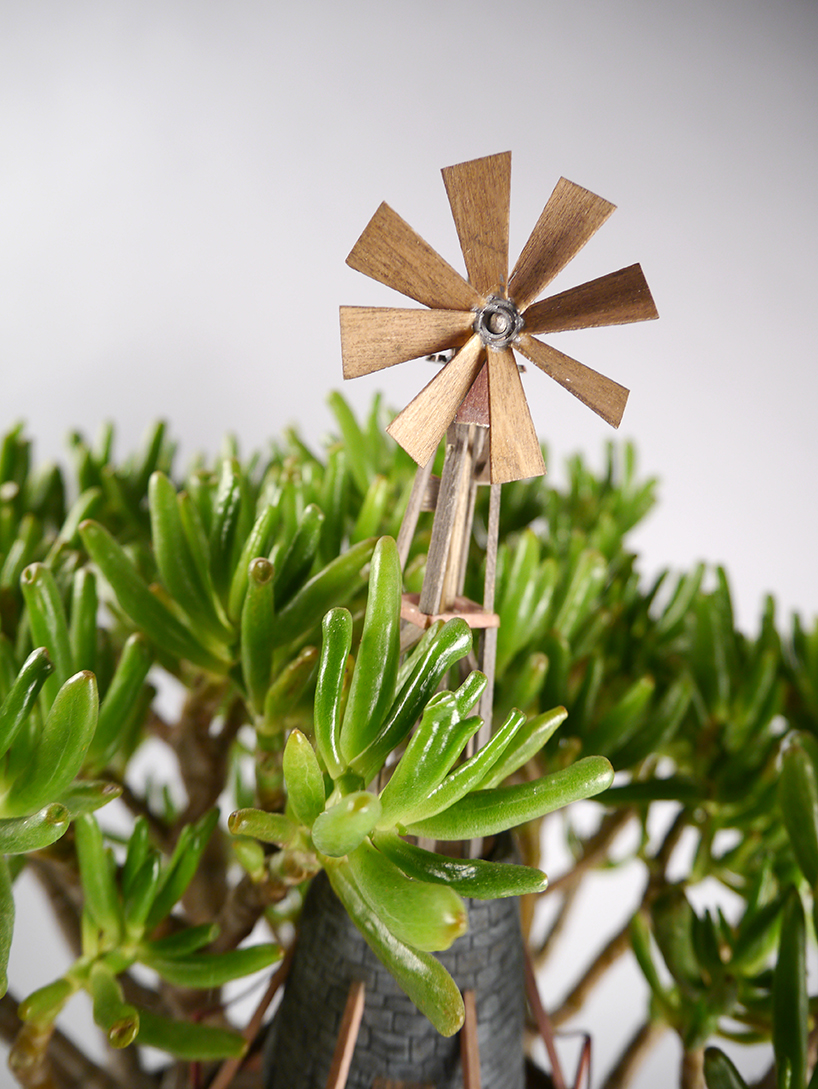 jedediah-corwyn-kotsifir-20