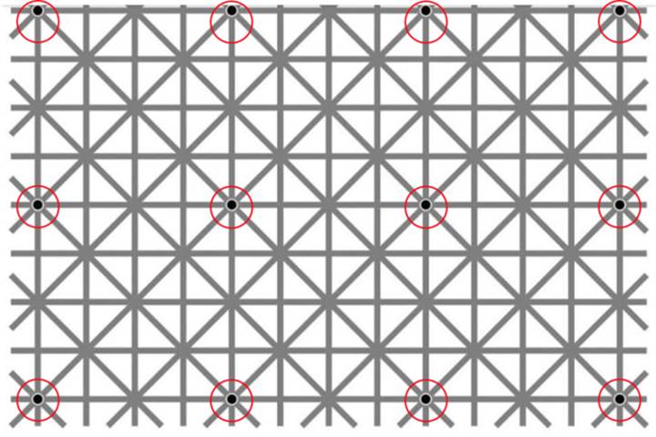 internet-dunyasini-sallayan-optik-ilizyon-bu-12-noktayi-neden-goremiyorsunuz86322_1
