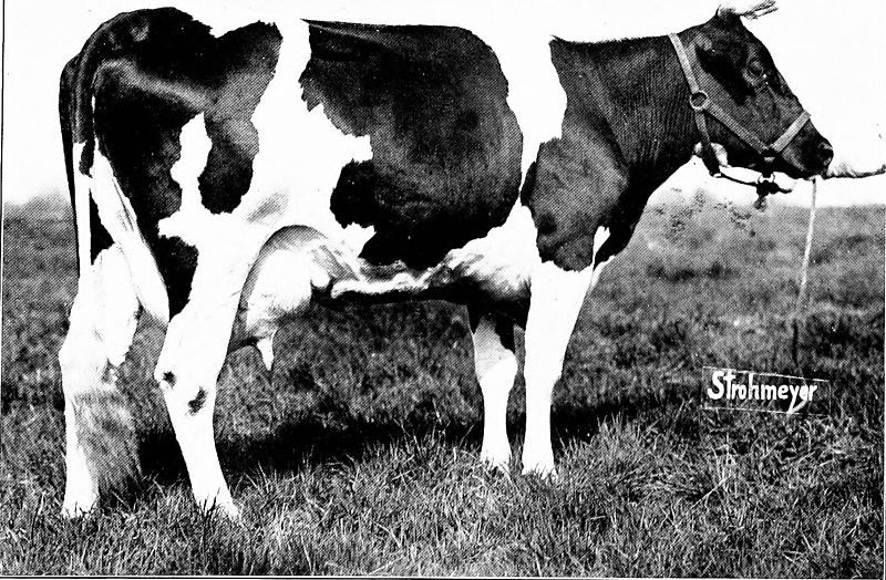 public_domain_unknown