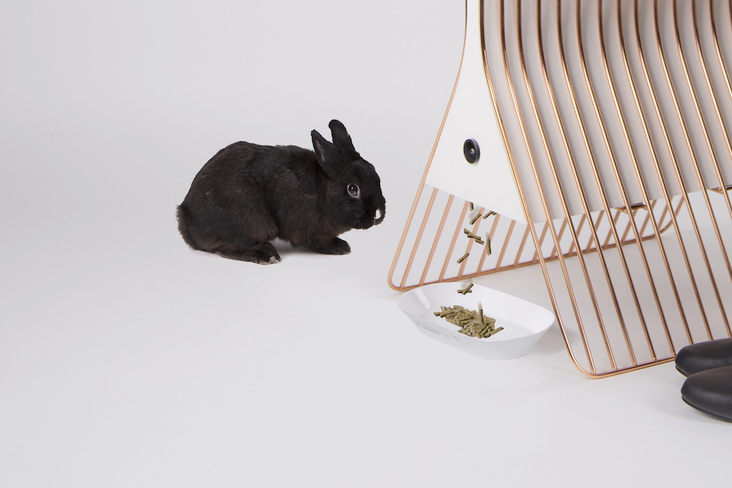 masasiz-da-guzel_131194495778604395