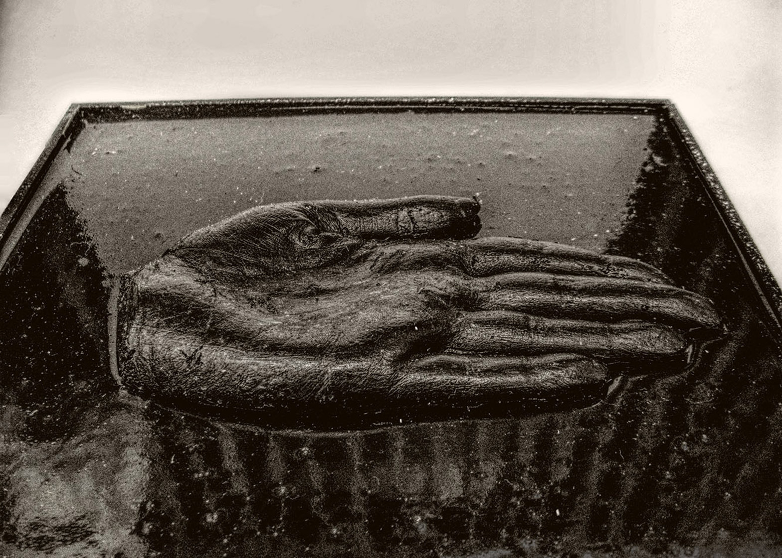 yomi_131094170760689761