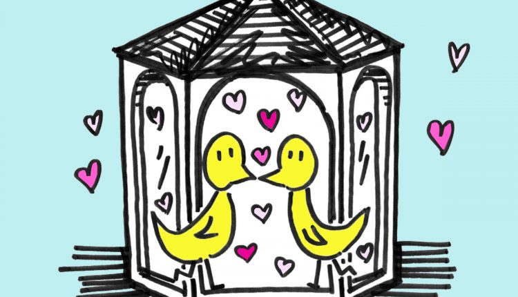 Joe_Ireland___Zoe_Crooks